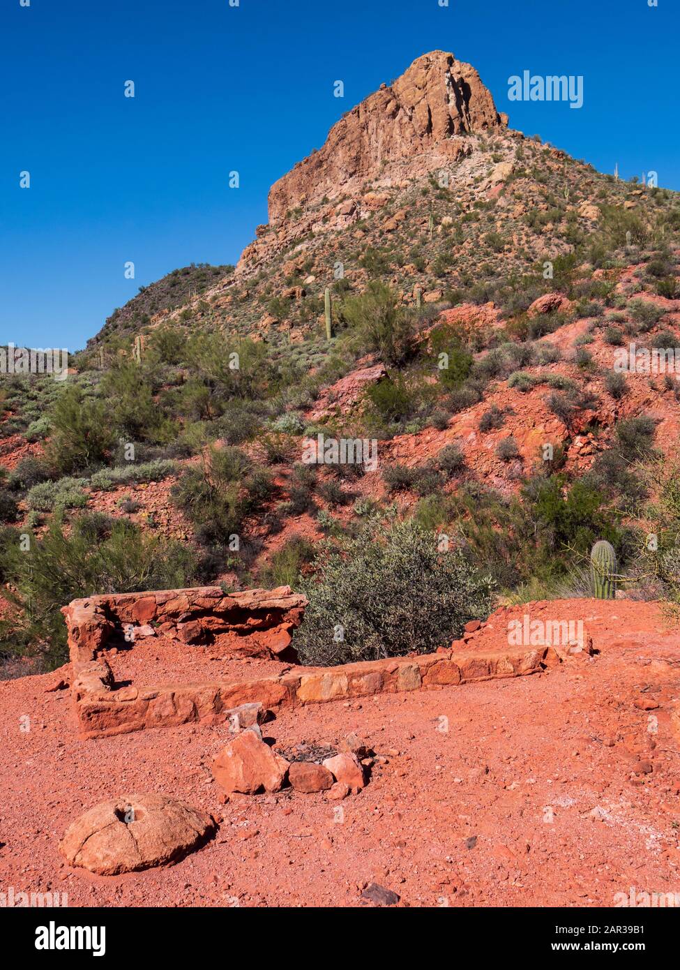 Remains of an abandoned miner's shack foundation probably constructed around 1956 by Ralph Morris, Indian Paint Mine, Superstition Wilderness, Arizona. Stock Photo