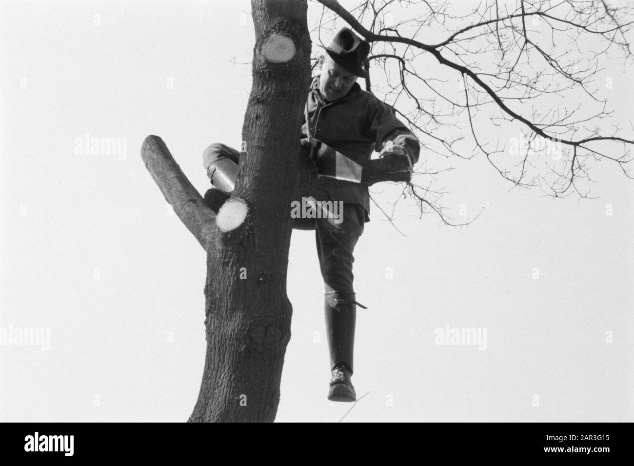pruning, workers Date: undated Keywords: workers, pruning Stock Photo