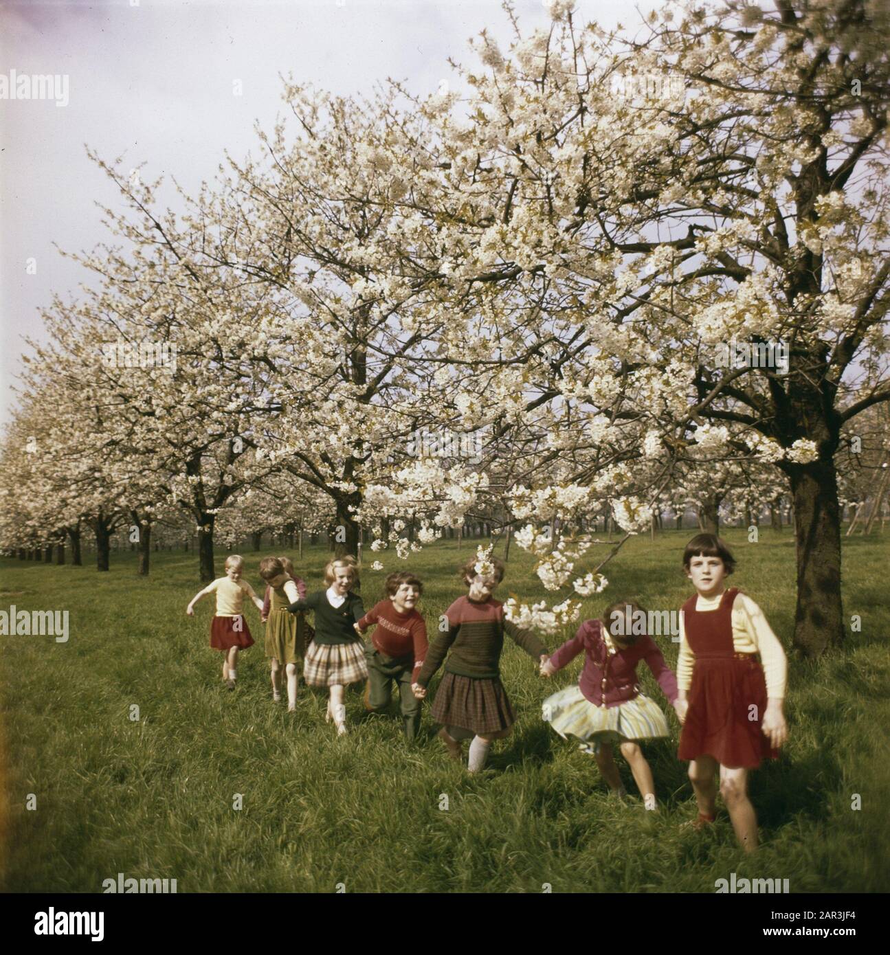 children, orchards Date undated Keywords orchards, children Stock