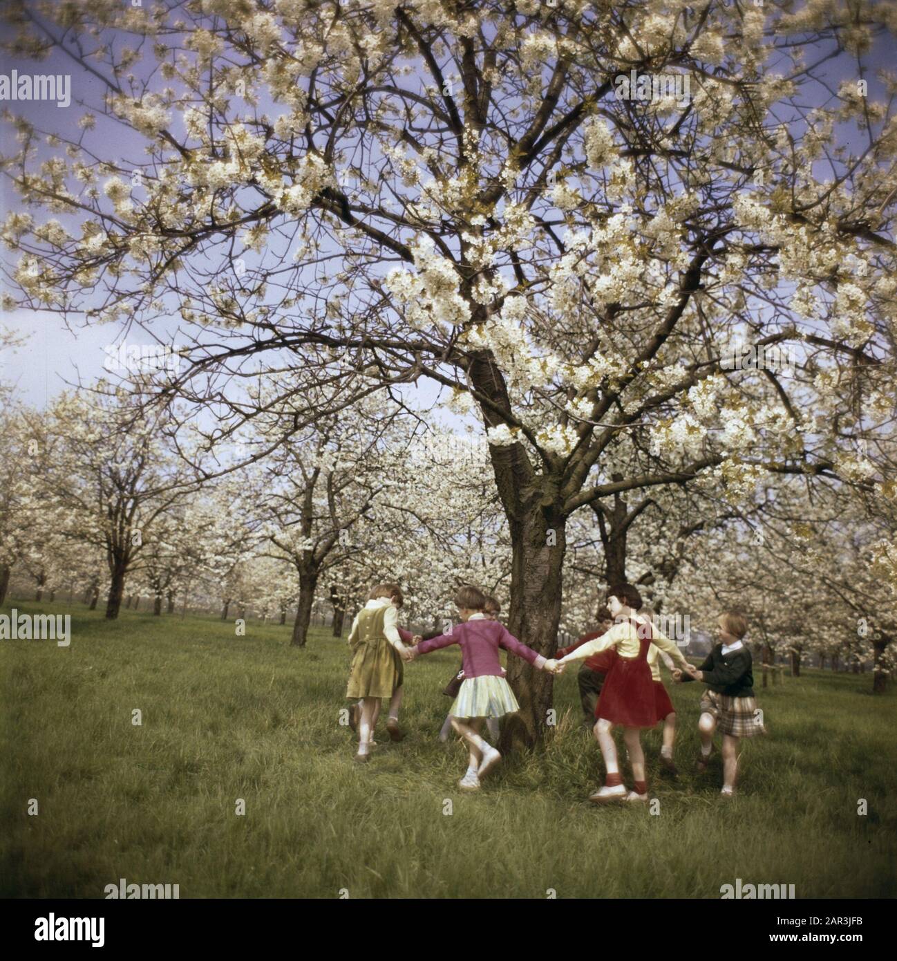 children, orchards Date undated Keywords orchards, children Stock