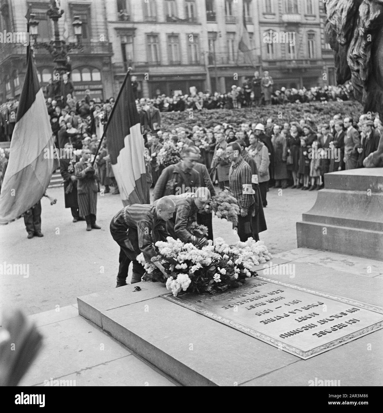 Liberation Festivals: Belgium Brussels  Wreath laying by liberated French political prisoners on the grave of the Unknown Soldier in Brussels. Date: april 1945 Location: Brussels Keywords: liberation parties, prisoners, wreaths, Second World War Stock Photo