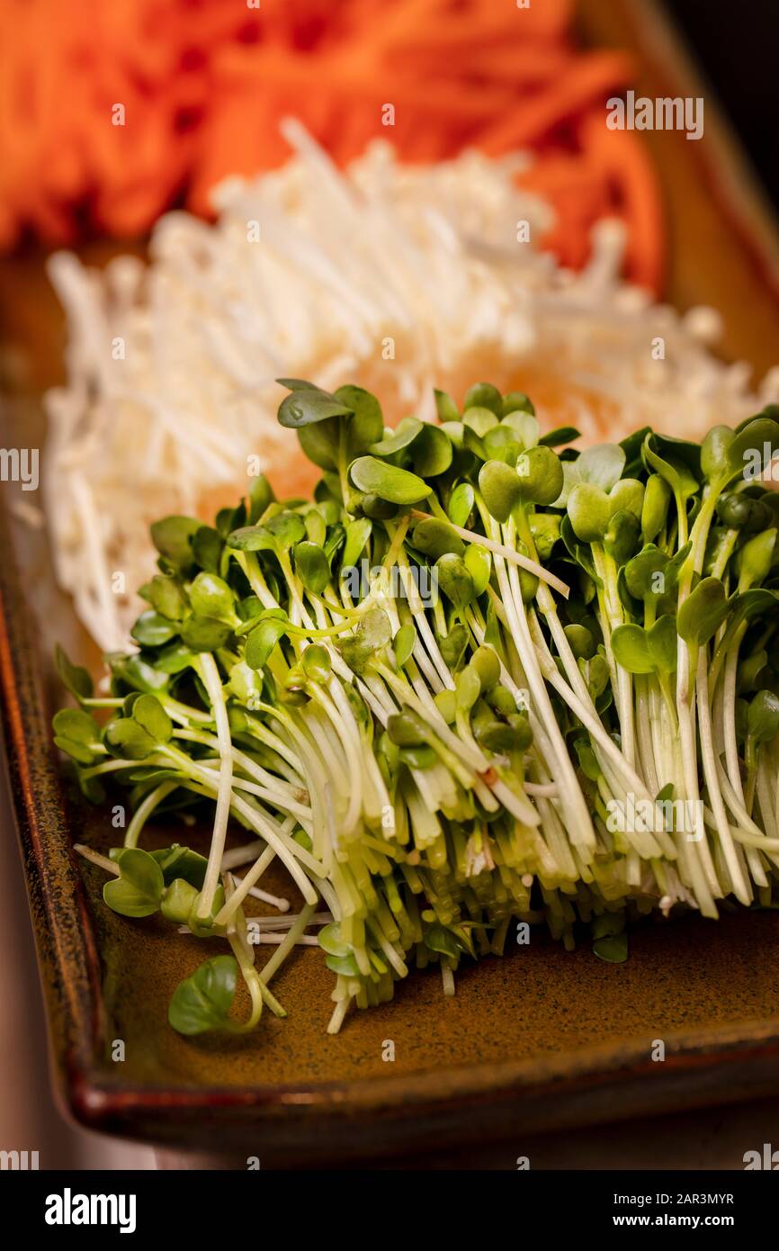 Julienne carrots, Enokitake Mushrooms and green radish sprouts cut up and used for making Sushi Stock Photo