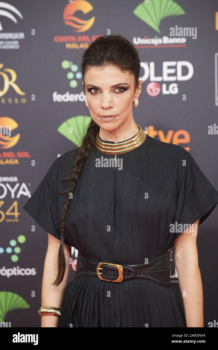 January 25, 2020, Malaga, Andalucia, Spain: Maribel Verdu attends 34th