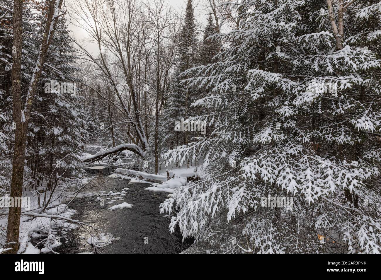Winter creek in northern Wisconsin. Stock Photo