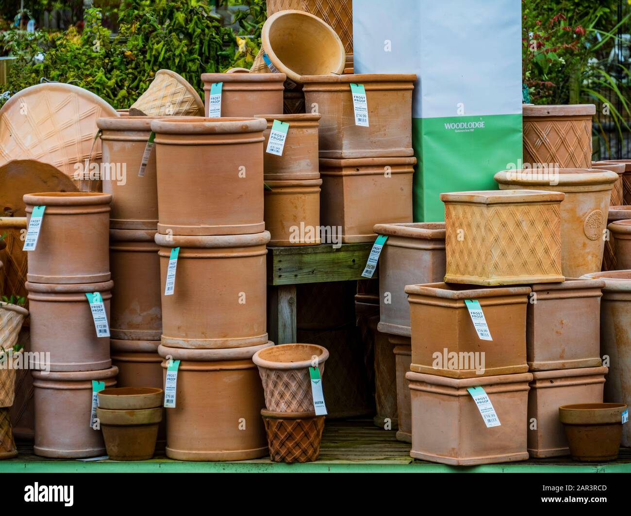 garden centre england uk Stock Photo Alamy