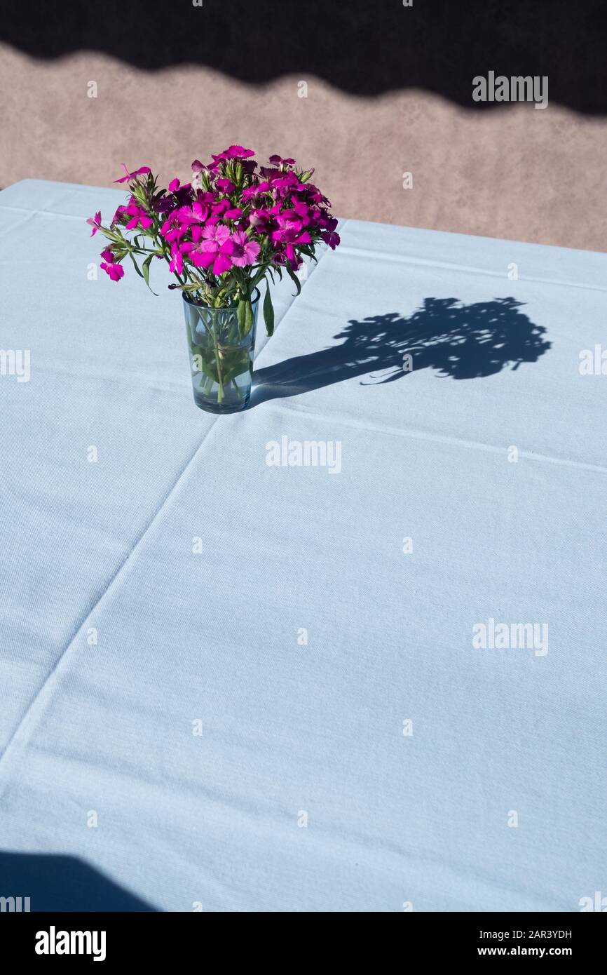 Empty table with flowers in vase with blue tablecloth.  Stock Photo