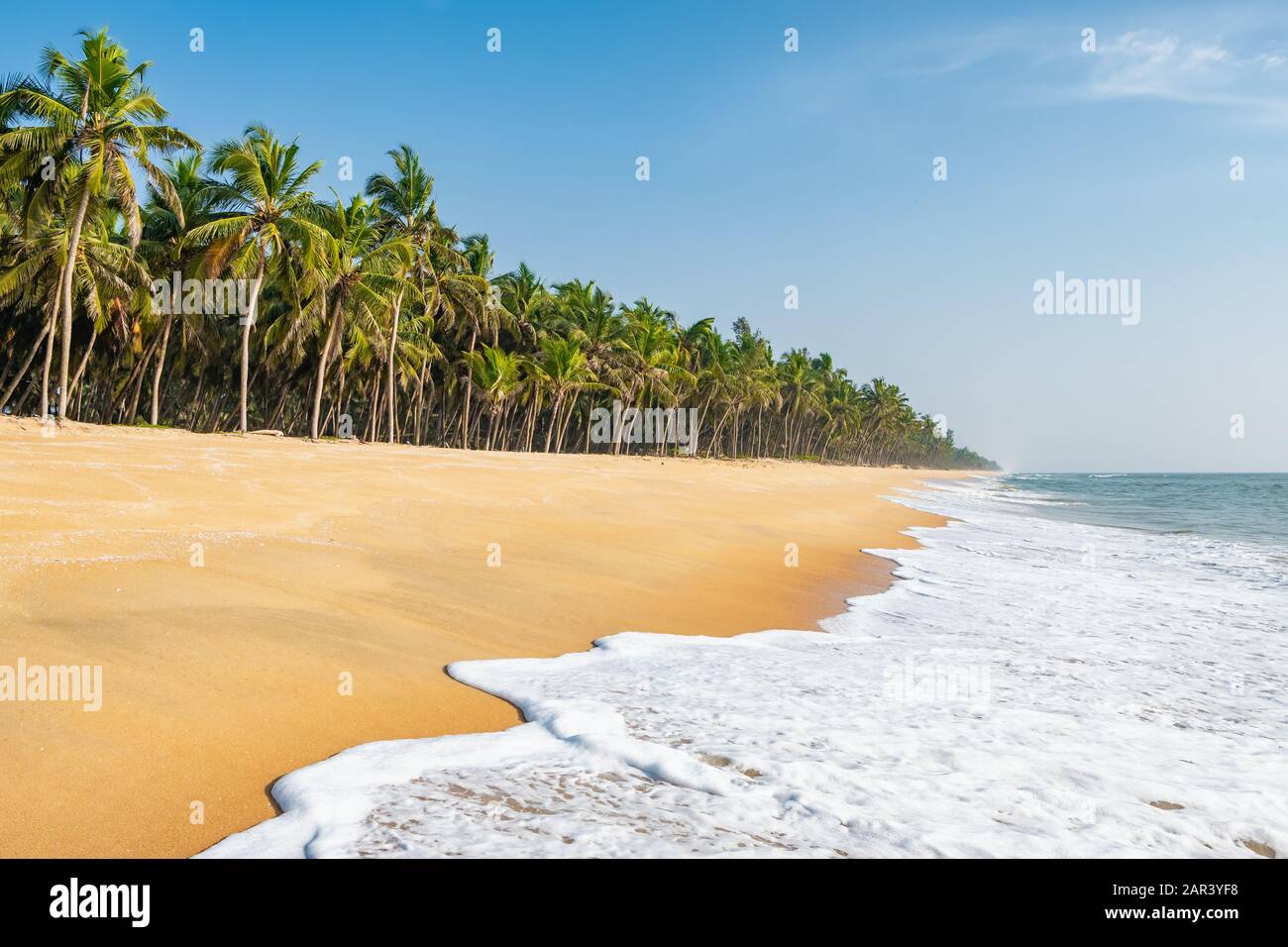Long empty tropical beach with coconut palms in Kerala, India Stock Photo