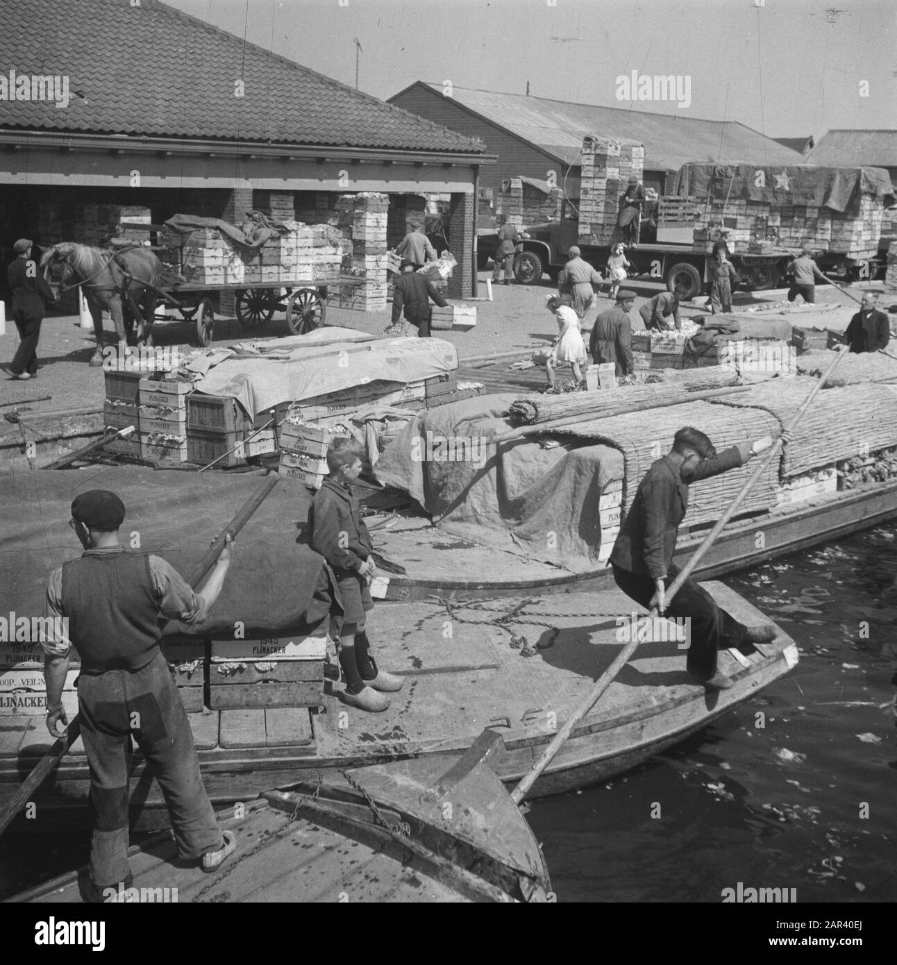 Het Westland Date: May 27, 1946 Stock Photo - Alamy