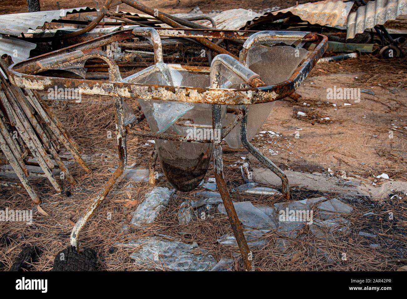 Australian Bushfires aftermath. Wingello, NSW. Fire occurred on the night of January 4 Stock Photo