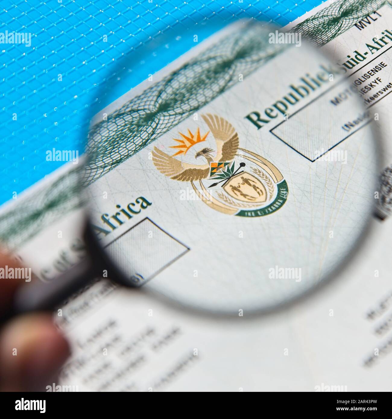South African Fake Id