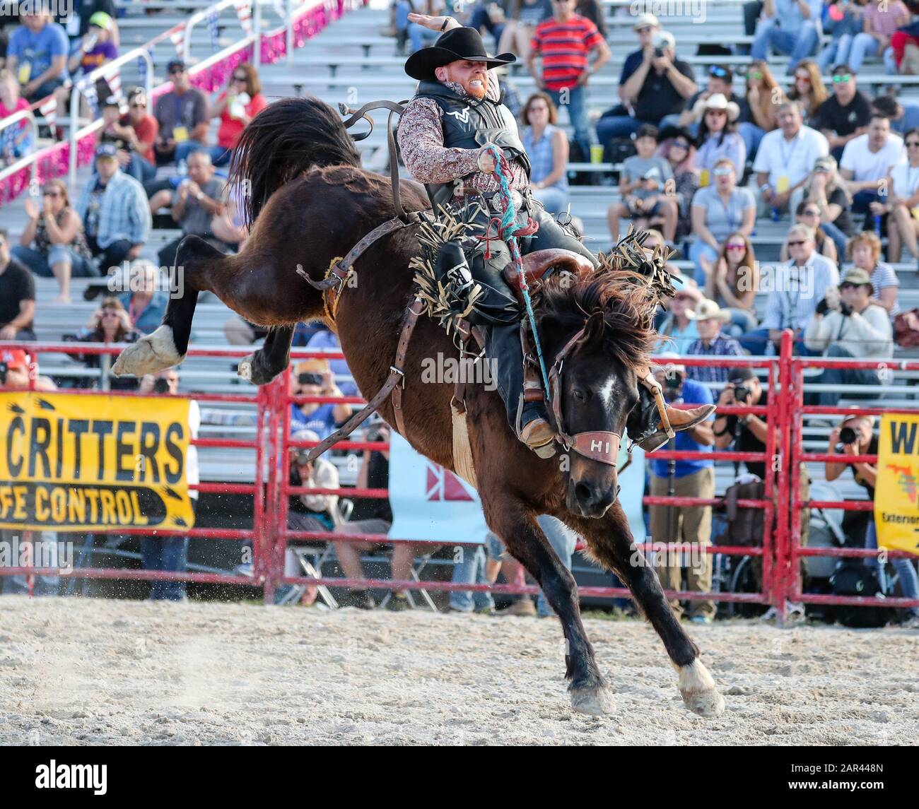 Homestead, Florida, USA. 25th Jan, 2020. Kody Rinehart competes in the Saddle Bronc Riding event during the 71st Homestead Championship Rodeo at the Doc DeMilly Rodeo Arena at Harris Field in Homestead, Florida. Mario Houben/CSM/Alamy Live News Stock Photo