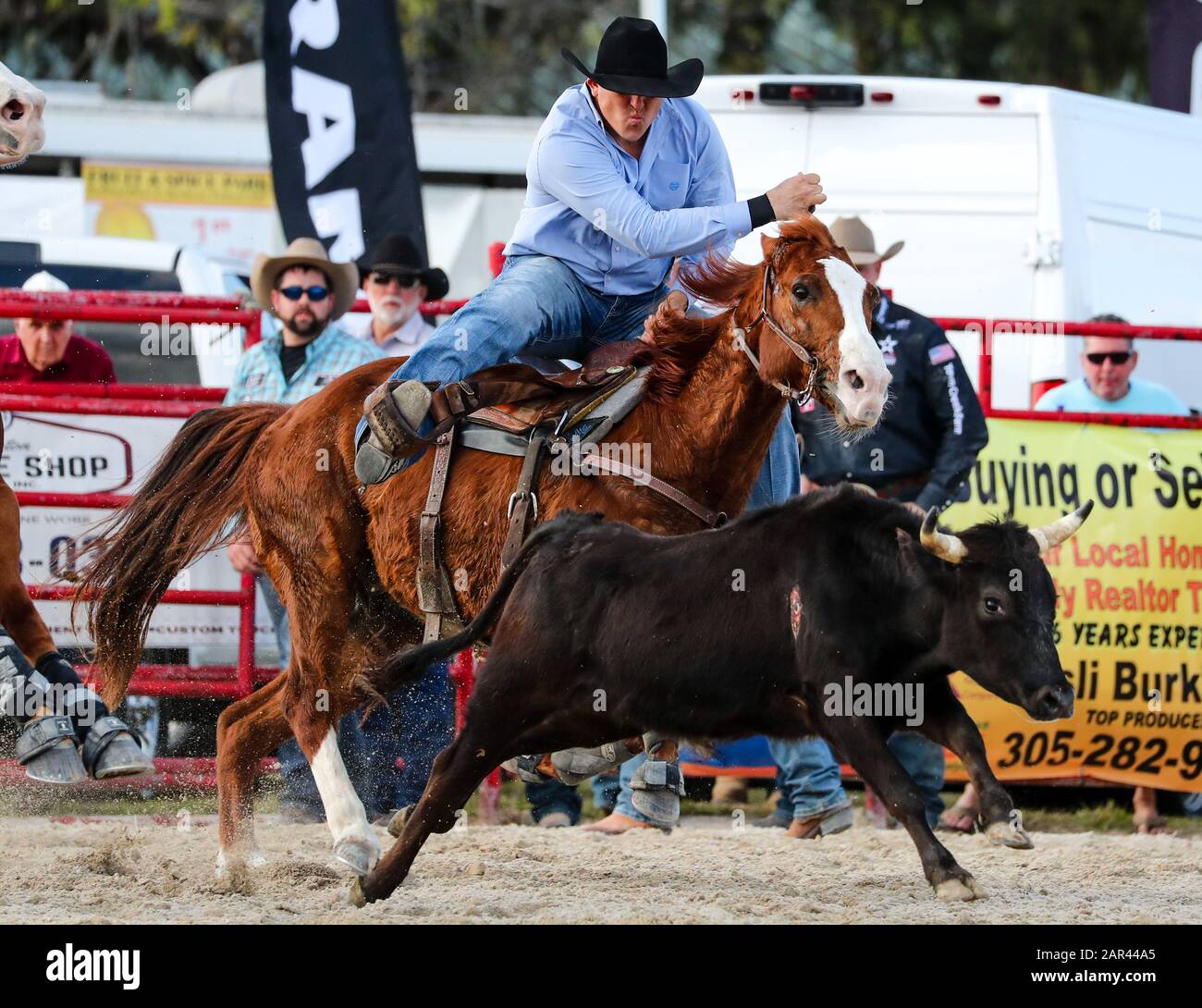 Homestead, Florida, USA. 25th Jan, 2020. Justin Thigpen competes in the Steer Wrestling event during the 71st Homestead Championship Rodeo at the Doc DeMilly Rodeo Arena at Harris Field in Homestead, Florida. Mario Houben/CSM/Alamy Live News Stock Photo