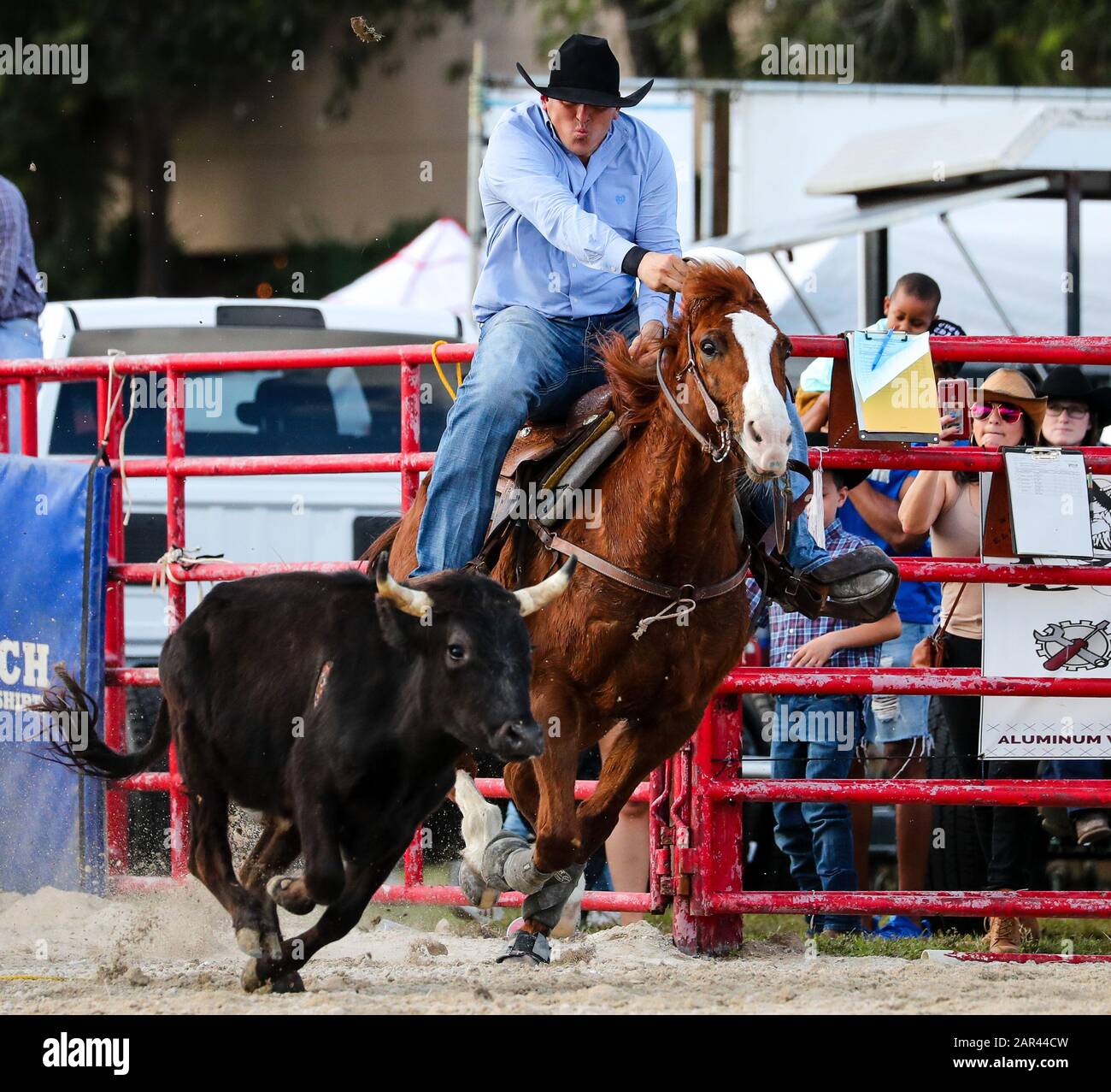 Homestead, Florida, USA. 25th Jan, 2020. Justin Thigpen competes in the Steer Wrestling event during the 71st Homestead Championship Rodeo at the Doc DeMilly Rodeo Arena at Harris Field in Homestead, Florida. Mario Houben/CSM/Alamy Live News Stock Photo