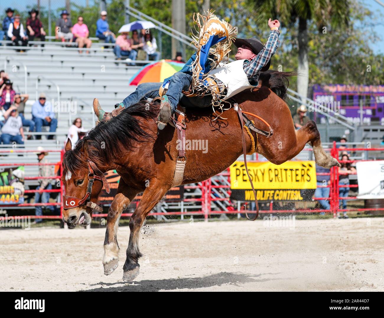 Homestead, Florida, USA. 25th Jan, 2020. Jacob Raine competes in the