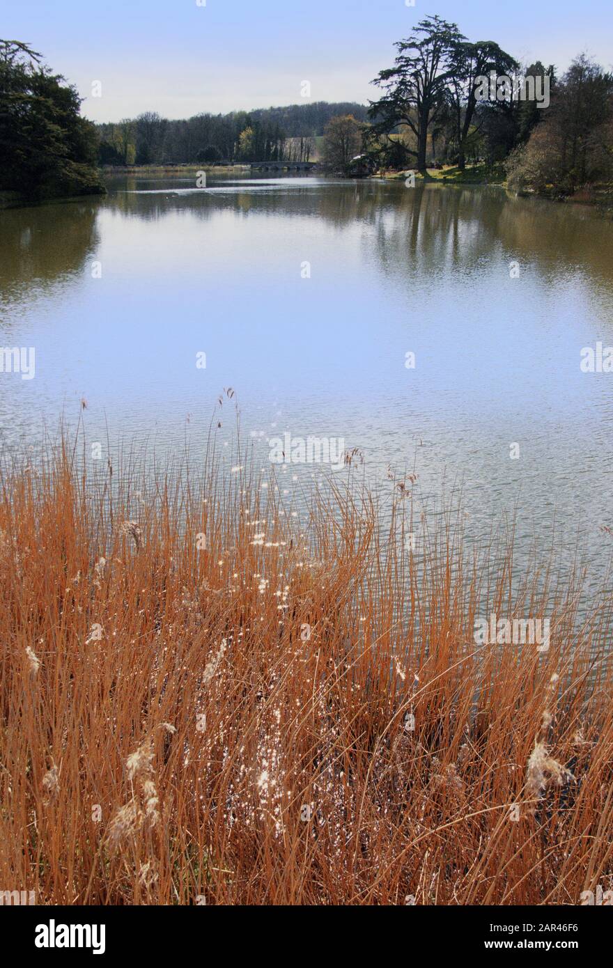 compton verney estate warwickshire england uk Stock Photo Alamy