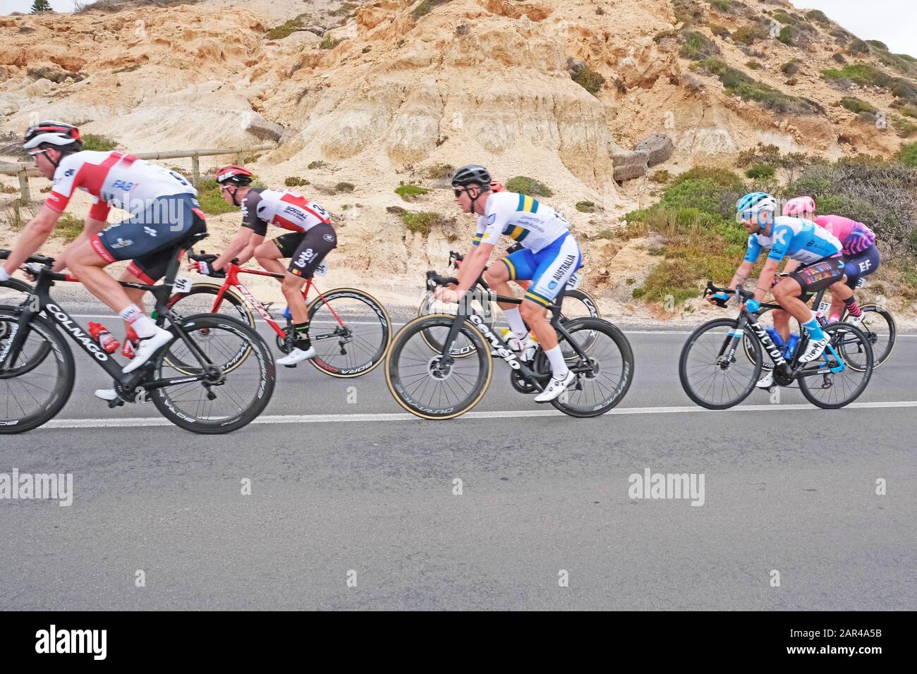 Aldinga, Adelaide, Australia. 26 January 2020. Riders competing on stage 6 of the Tour Down Under cycling race as it passes through the beachfront area of Aldinga. The stage winner was British rider Matthew Holmes of the Lotto Soudal team. He is the second rider in the shot (number 34). Credit: Russell Mountford/Alamy Live News. Stock Photo