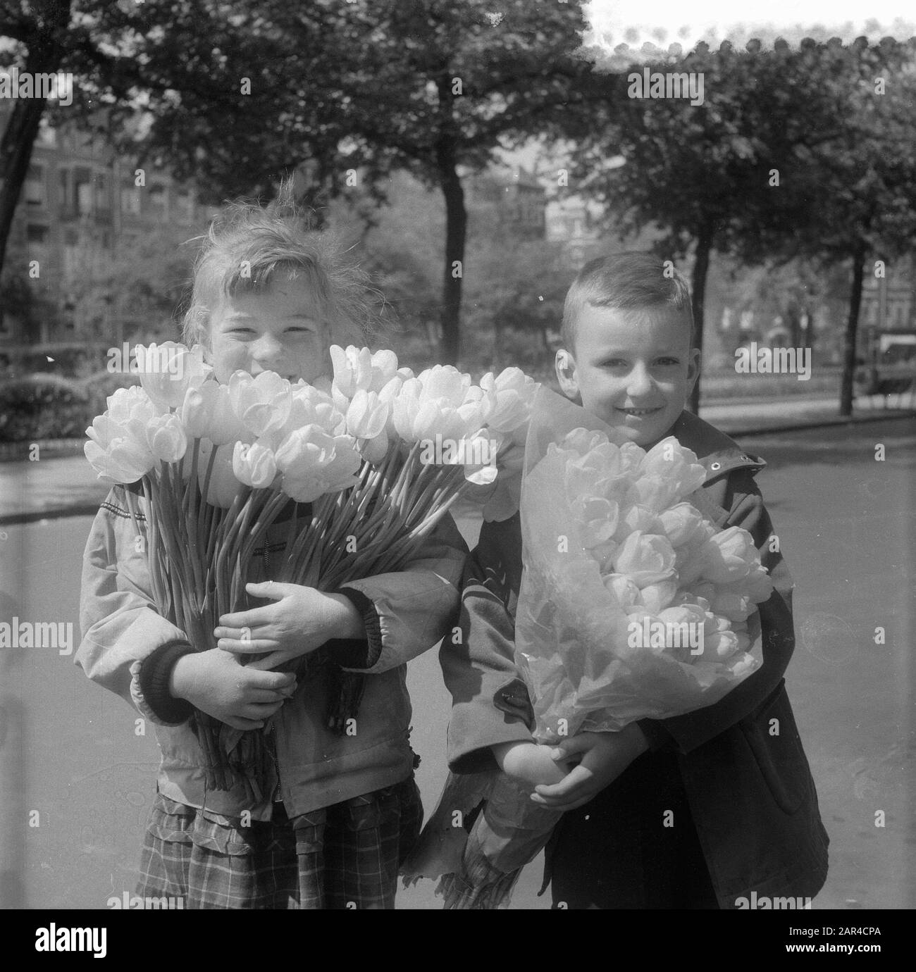 flowers by mothers day