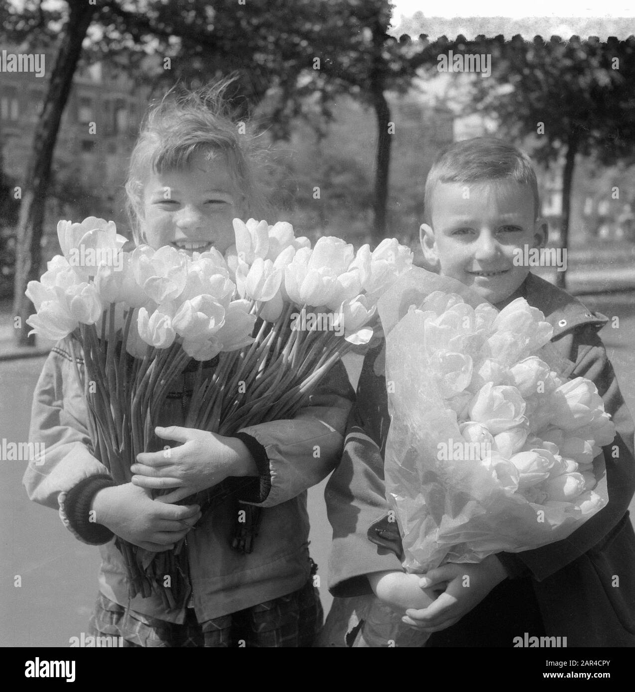 flowers by mothers day