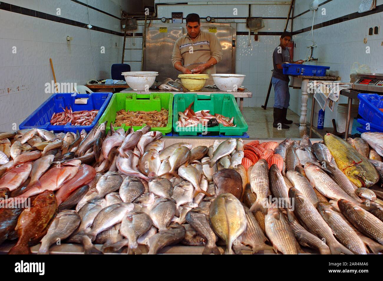 Fish store hi-res stock photography and images - Alamy