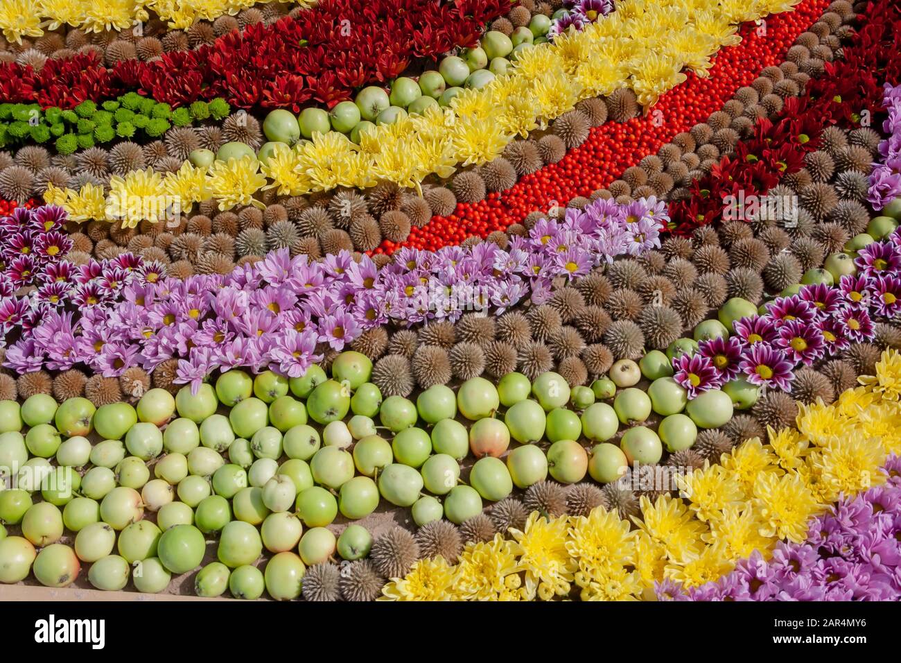 background with lots of colorful flowers. Ventspils, Latvia 08.03.2019. Florist Competition Stock Photo