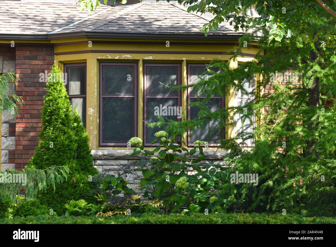 House windows in Toronto, Canada Stock Photo Alamy