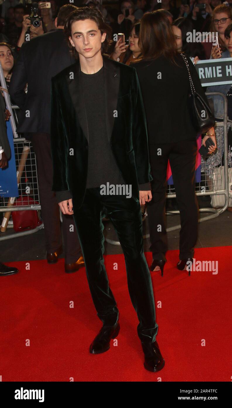 Red Carpet Fashion Awards - Timothée Chalamet In Alexander McQueen – 'A  Beautiful Boy' London Film Festival Premiere