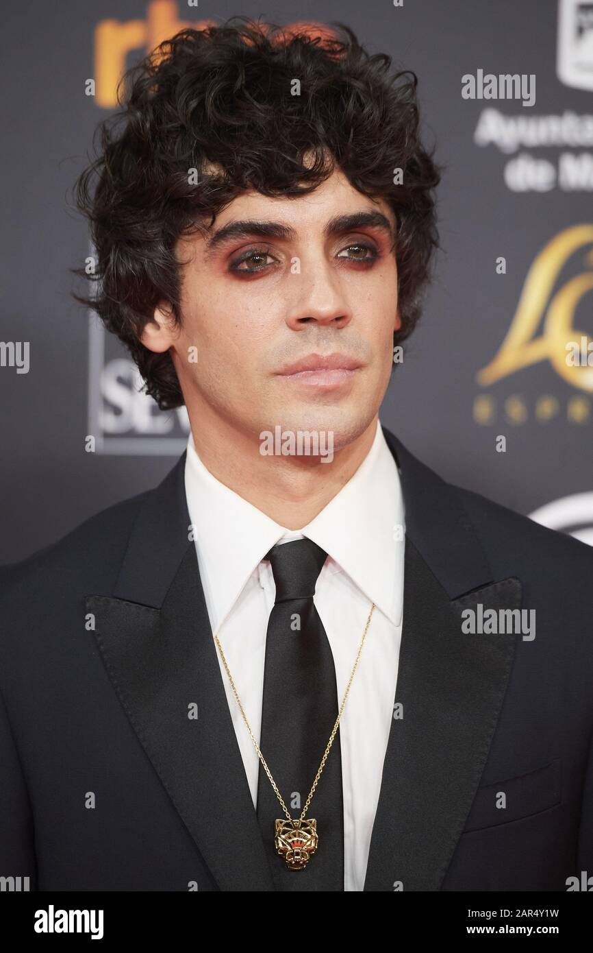 January 25, 2020, Malaga, Andalucia, Spain Javier Ambrossi attends