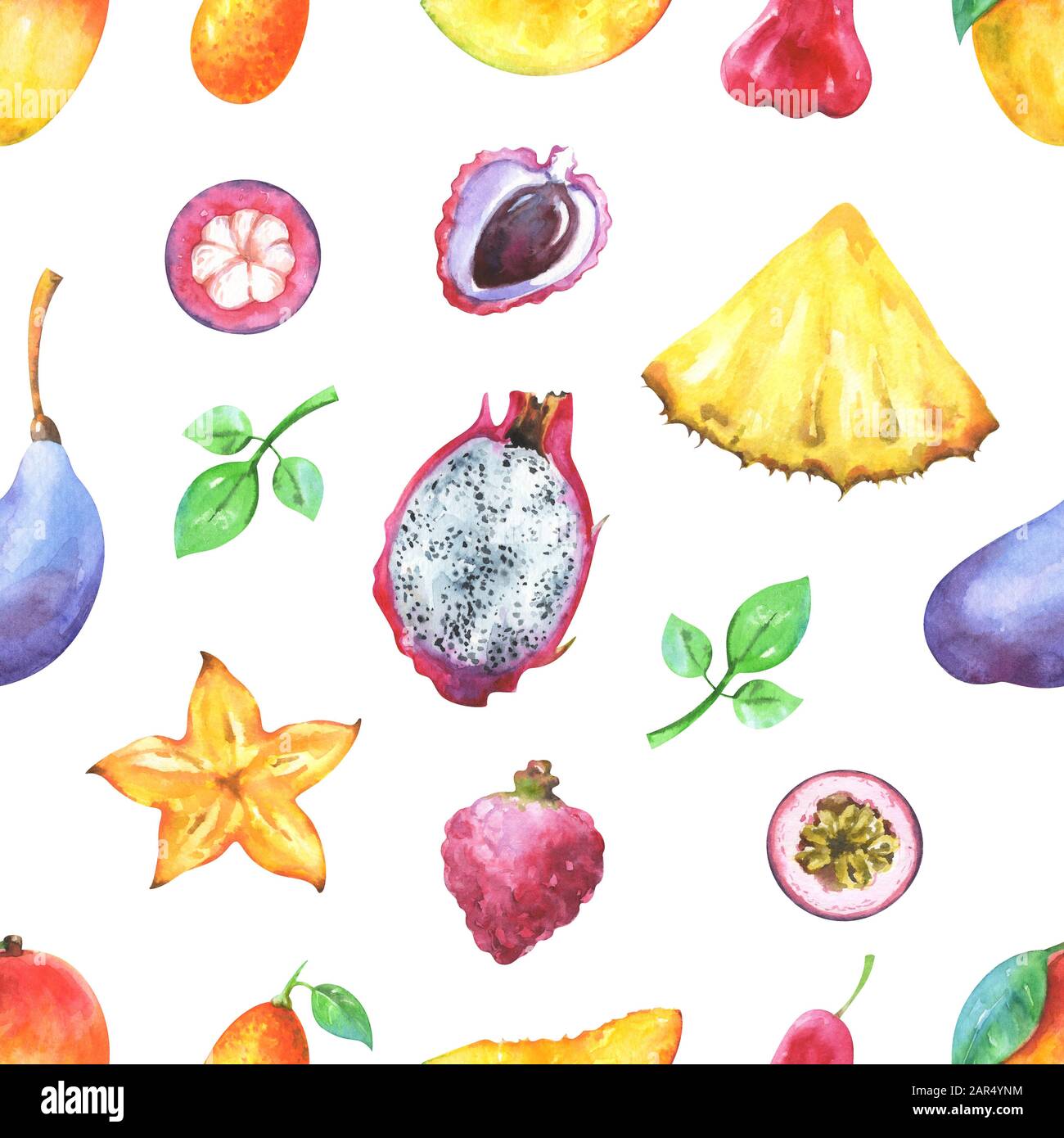 Watercolor tropic fruits hi-res stock photography and images - Alamy