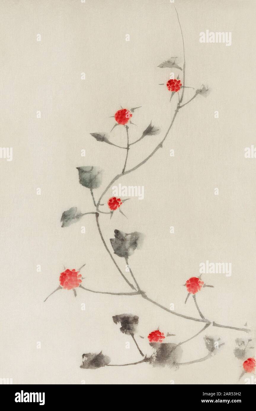 Katsushika Hokusai - Small Red Blossoms on a Vine by  published between 1830 and 1850 Stock Photo