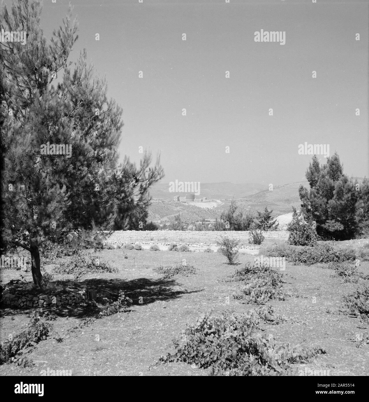 Hadassah universistair medical center seen from Mount Herzl Date: January 1, 1960 Location: Israel Keywords: trees, hills, panoramas, hospitals Stock Photo