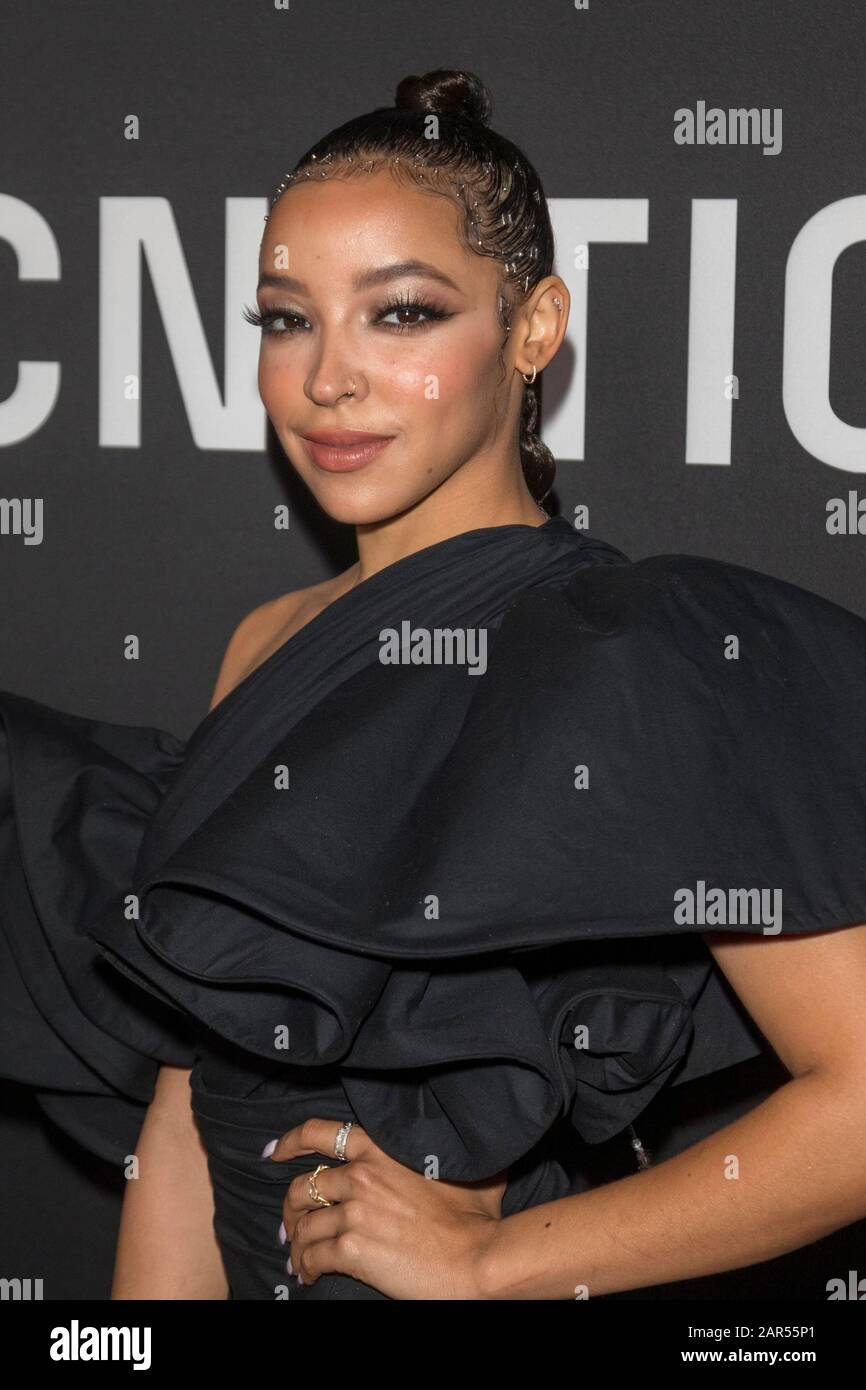 Tinashe attends Roc Nation The Brunch at a private residence in Los Angeles, California, USA, on 25 January 2020. | usage worldwide Stock Photo