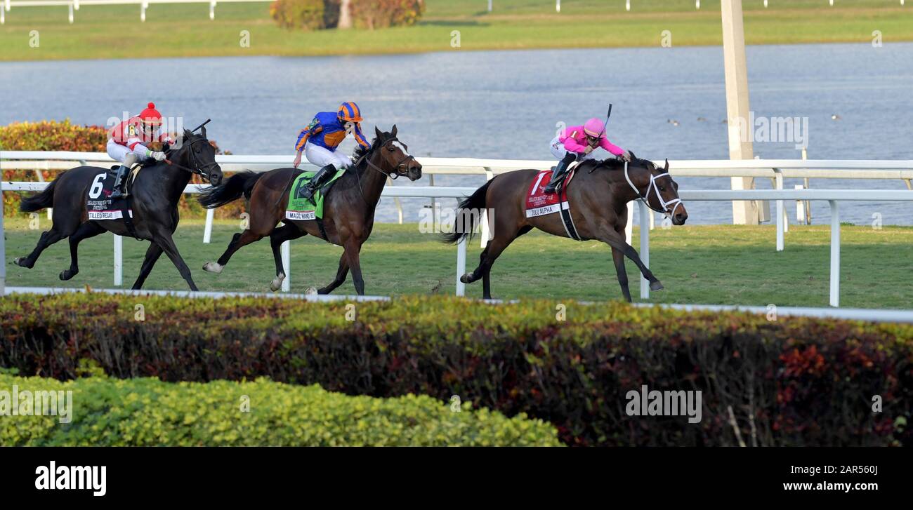 Page 11 Horse Racing Odds High Resolution Stock Photography And Images Alamy Page 11 Horse Racing Odds High Resolution Stock Photography And Images Alamy