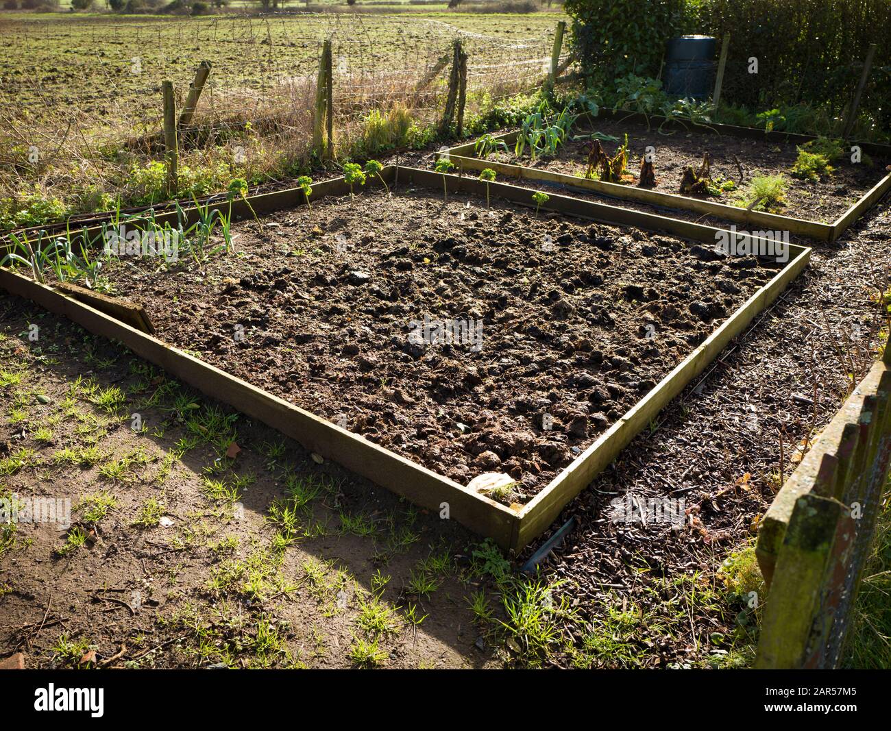 A square shaped raised vegetable plot prepared and resting in winter awaiting new planting in Spring Stock Photo