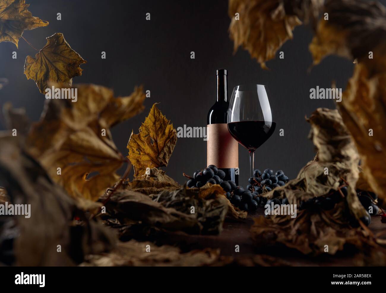 Bottle and glass of red wine on a table with dried vine leaves and blue ...