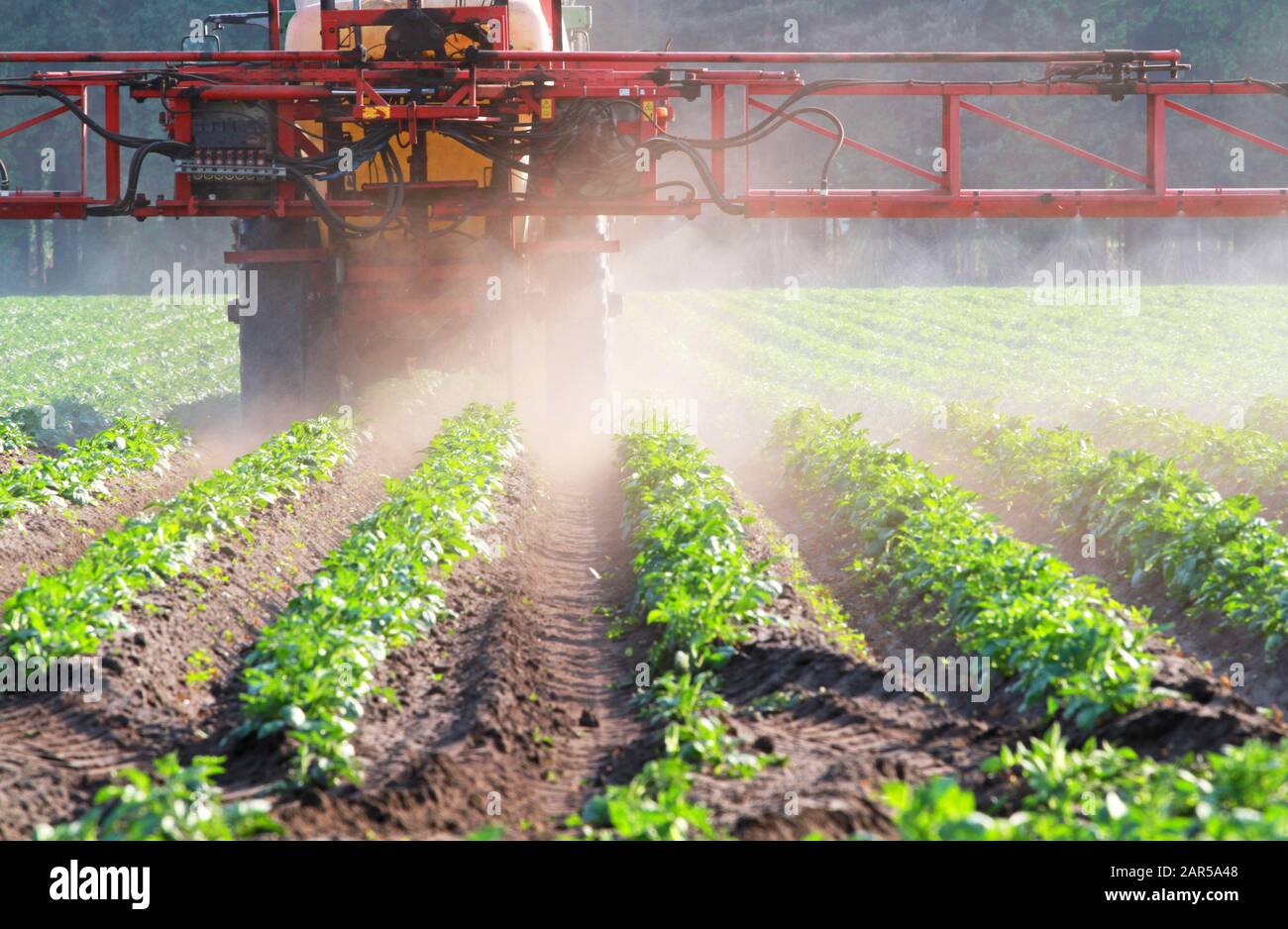 herbicide application on a field with vegetables Stock Photo
