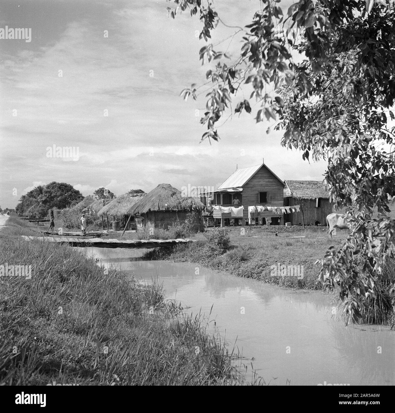 Travel to Suriname and the Netherlands Antilles Houses along a canal in
