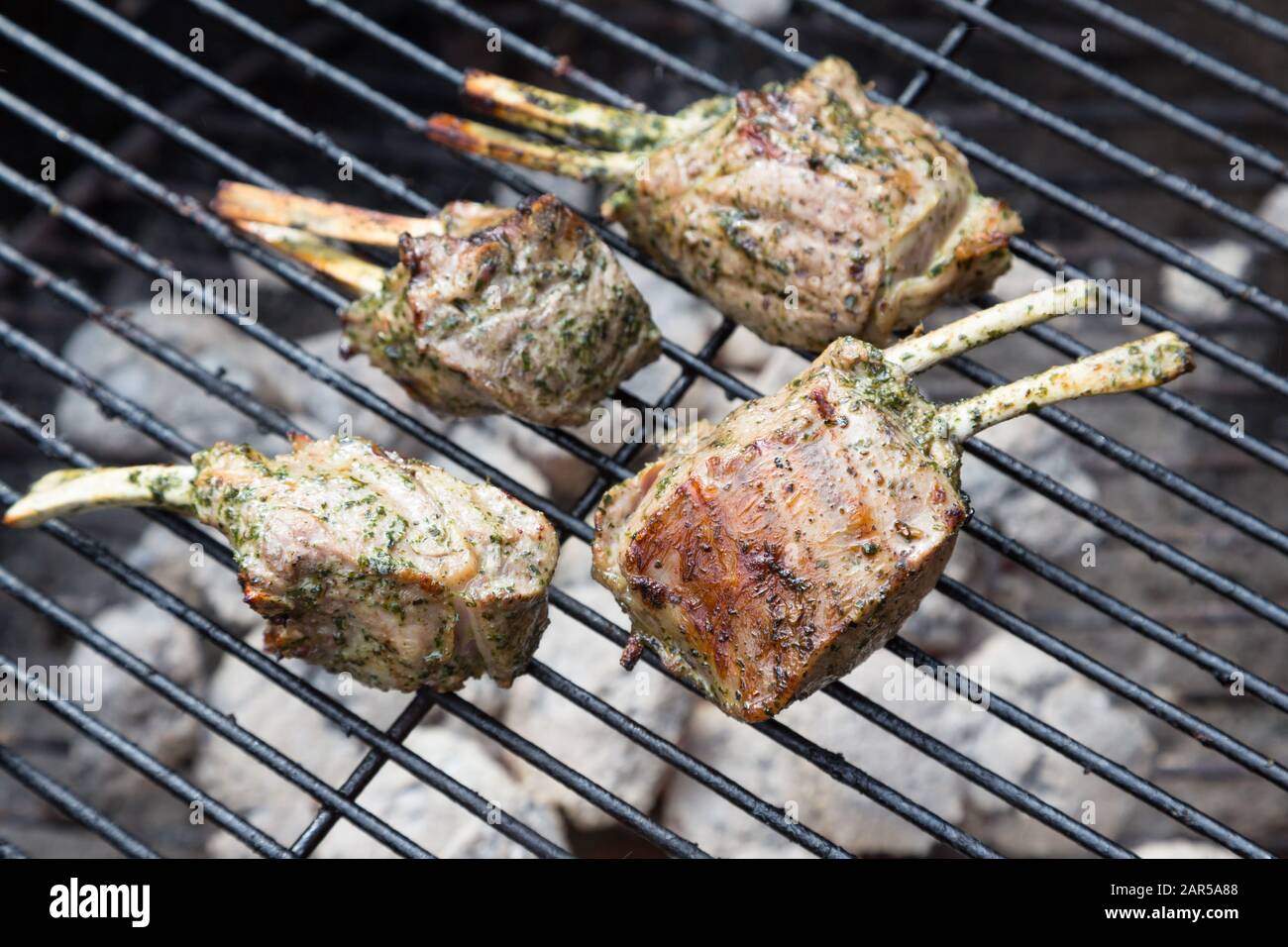 lamb chops on charcoal grill Stock Photo Alamy