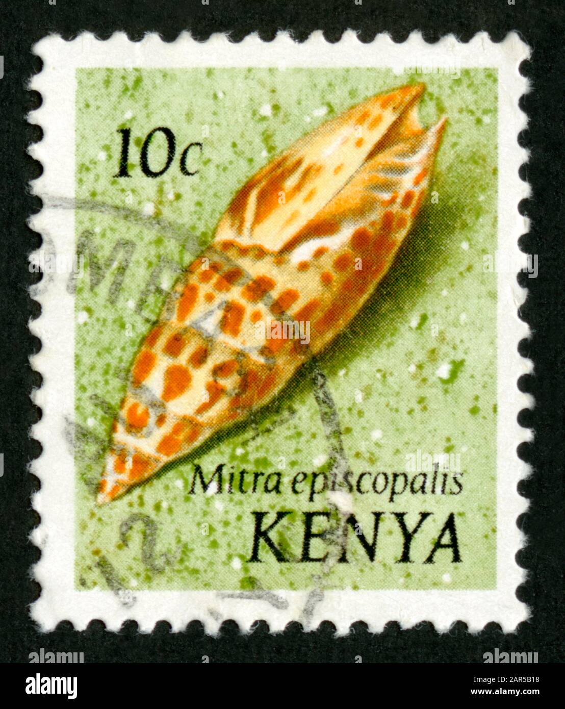 Stamp print in Kenya,Mitra episcopalis,shell Stock Photo