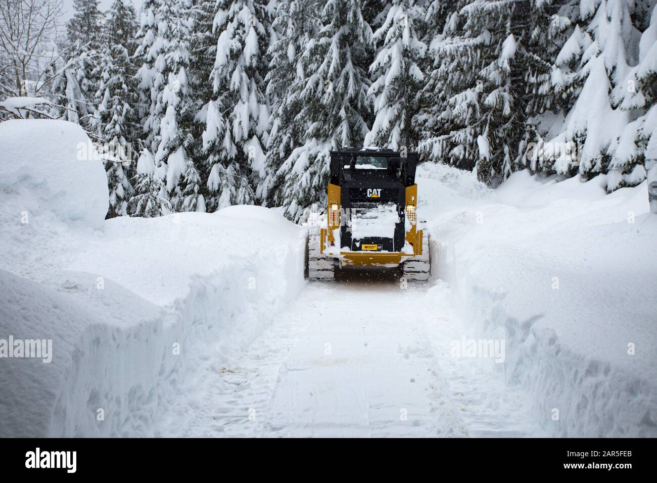 Caterpillar 299d skidder hires stock photography and images Alamy