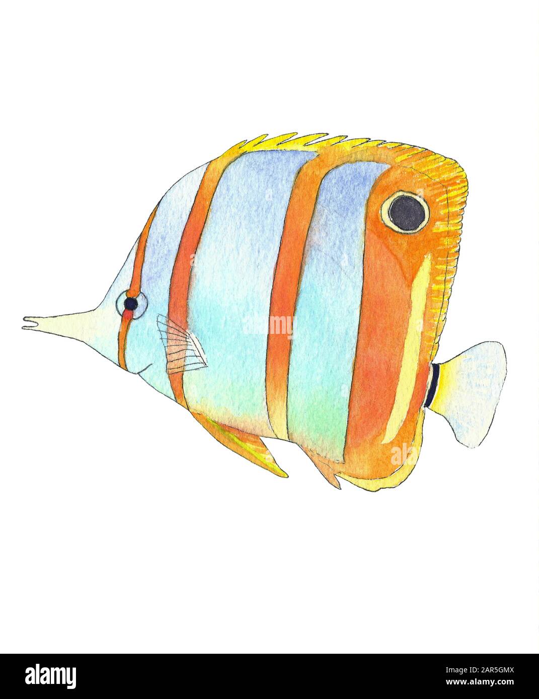 297 Fish Drawing Realistic Stock Photos - Free & Royalty-Free