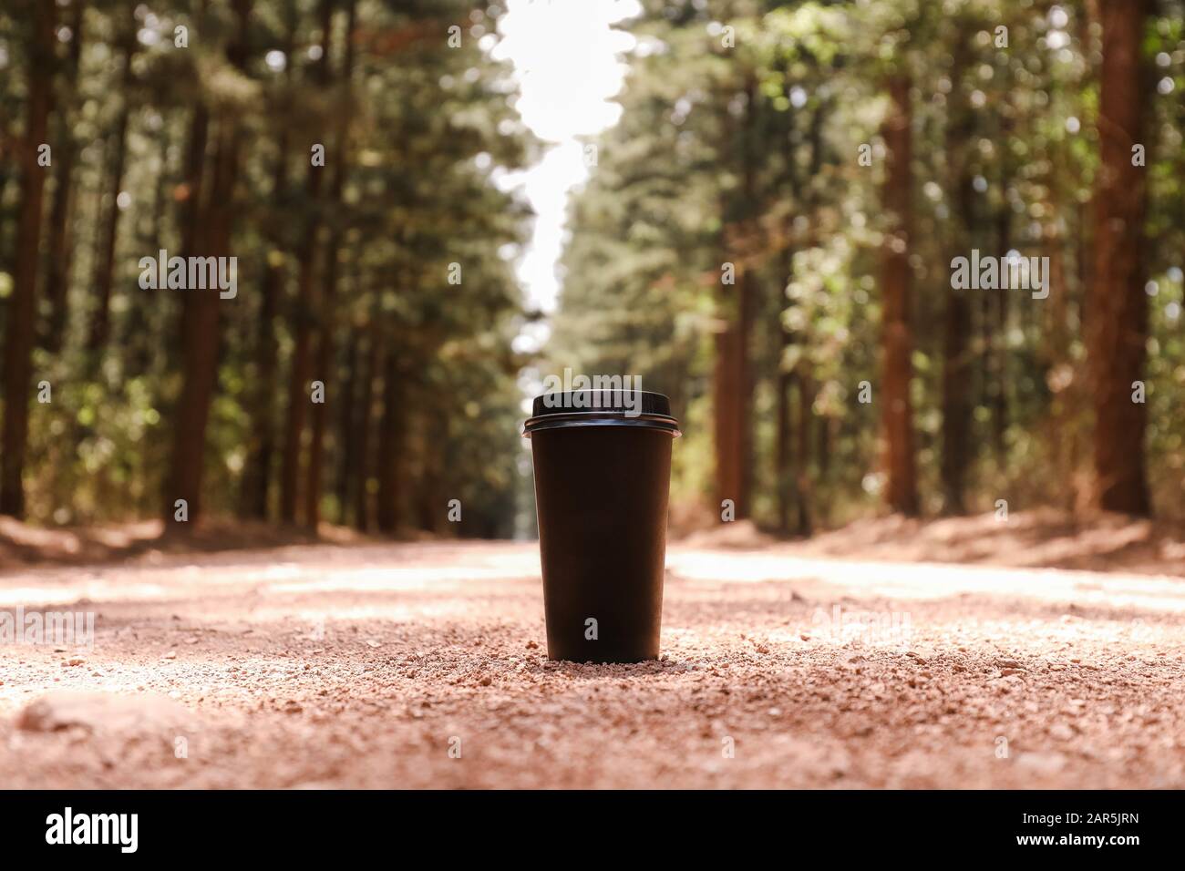 Paper cup on a pathway in a forest under the sunlight with a blurry ...