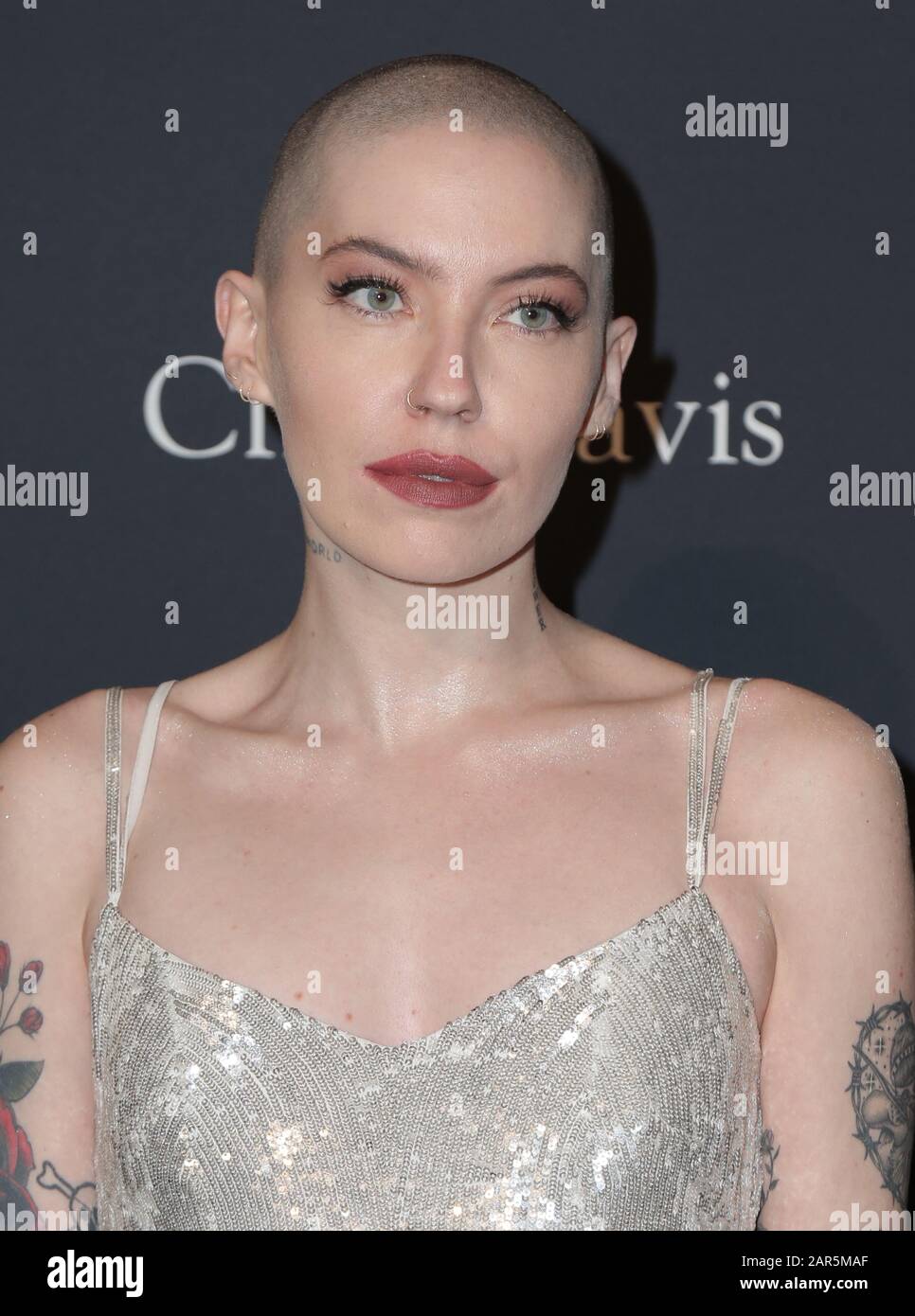 Bishop Briggs walking the red carpet at the Clive Davis' 2020 Pre-Grammy  Gala held at The Beverly Hilton Hotel on January 25, 2020 in Los Angeles,  California USA (Photo by Parisa Afsahi/Sipa