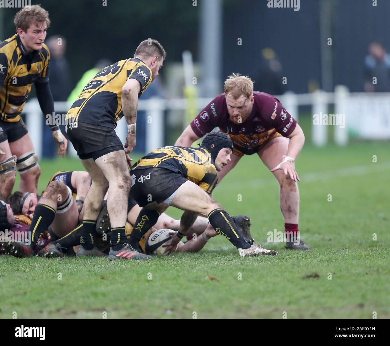 25.01.2020, Hinckley, Leicester, England. Rugby Union, Hinckley rfc v Sedgley Park rfc.    Ben Pointon in action for Hinckley during the RFU National League 2 North (NL2N) game played at the Leicester  Road Stadium. Stock Photo