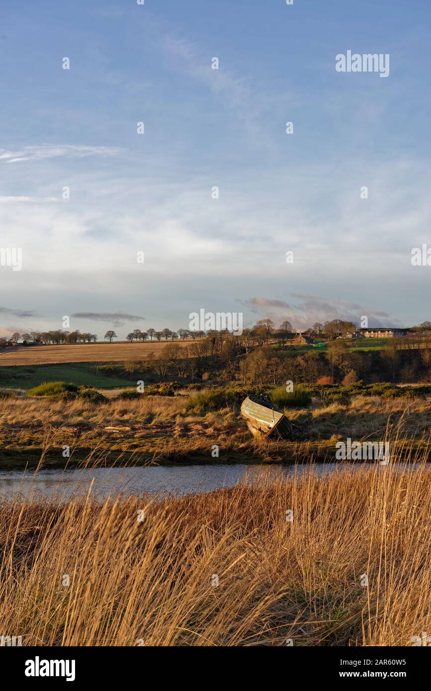 The wreck of an old wooden Fishing Boat lying on the Grass covered ...