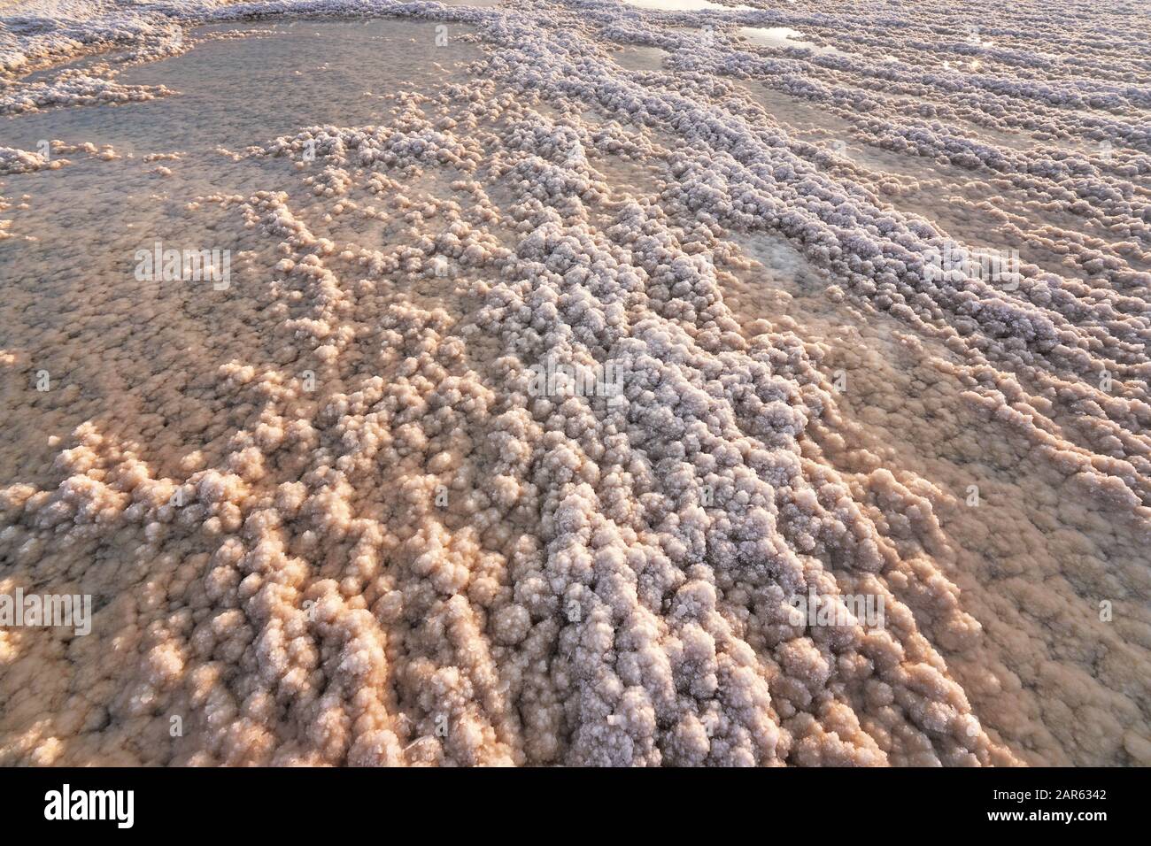 Crystalline salt beach lit by morning sun, small puddles with seawater at Dead Sea - world most hypersaline lake Stock Photo