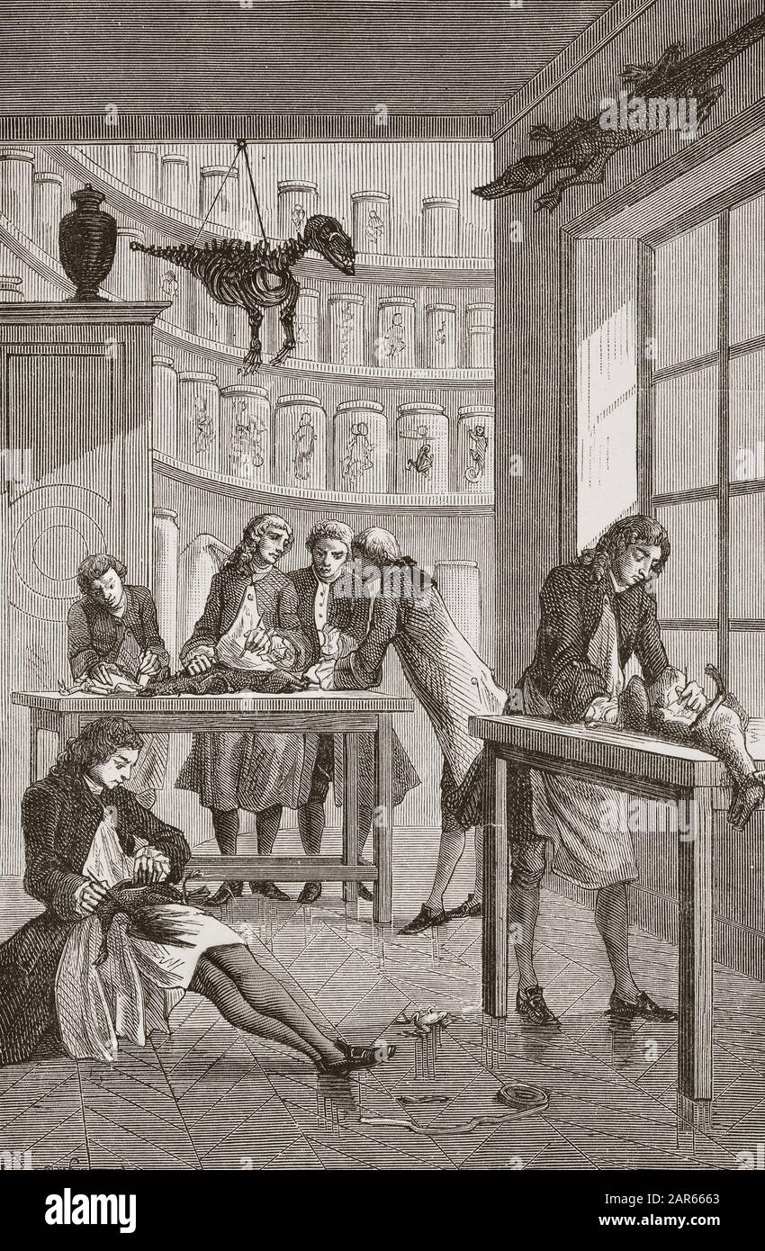 Albrecht von Haller (Albert de Haller) (1708-1777) dans son laboratoire de Berne en suisse - Laboratory of the Swiss physician Albrecht von Haller (17 Stock Photo