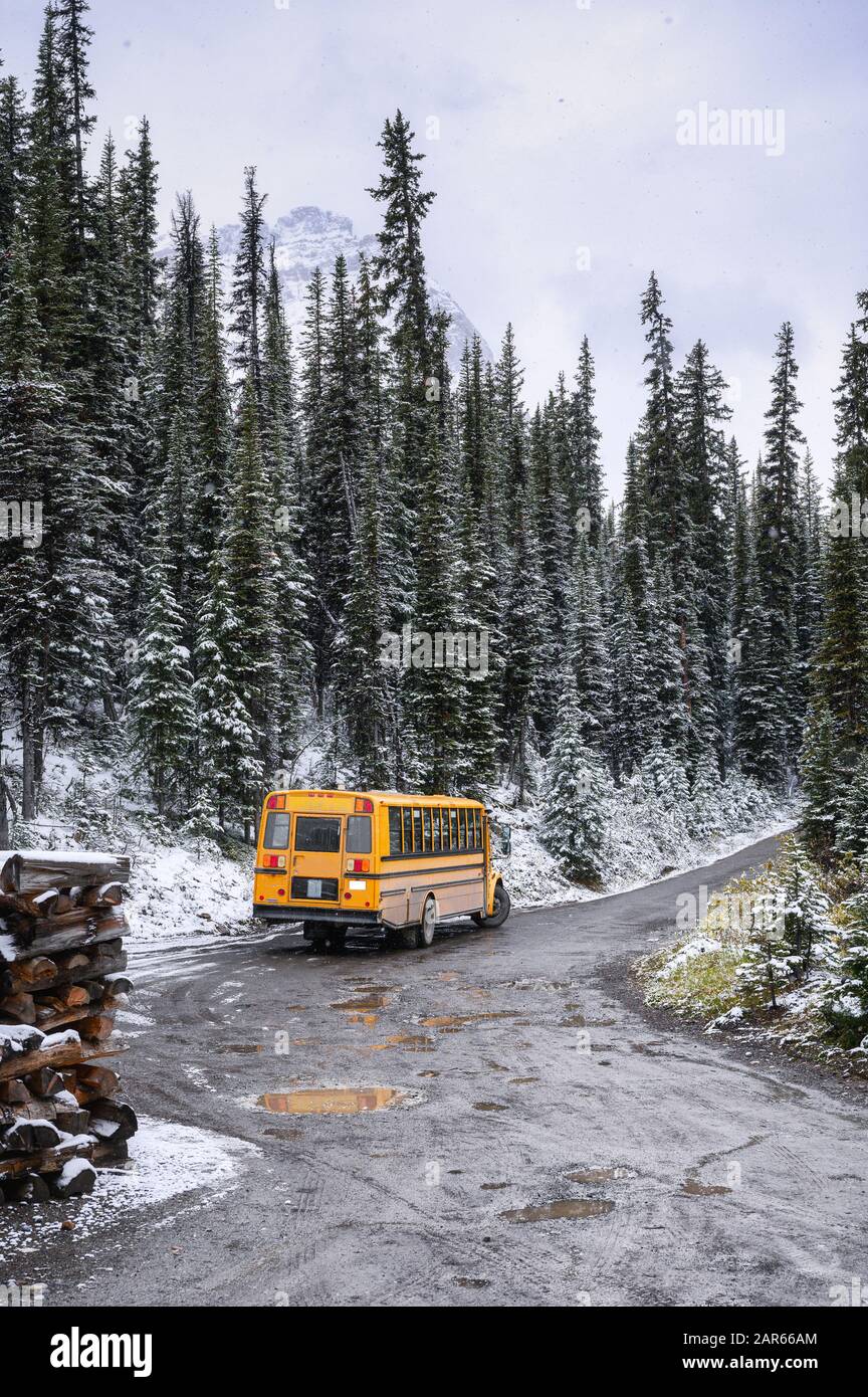 School bus parked on the road in snowy pine forest on winter at Yoho national park, Canada Stock Photo