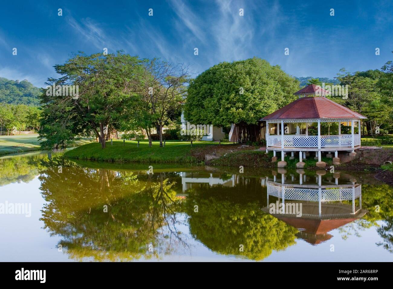 Trees blue sky architecture hi-res stock photography and images - Alamy