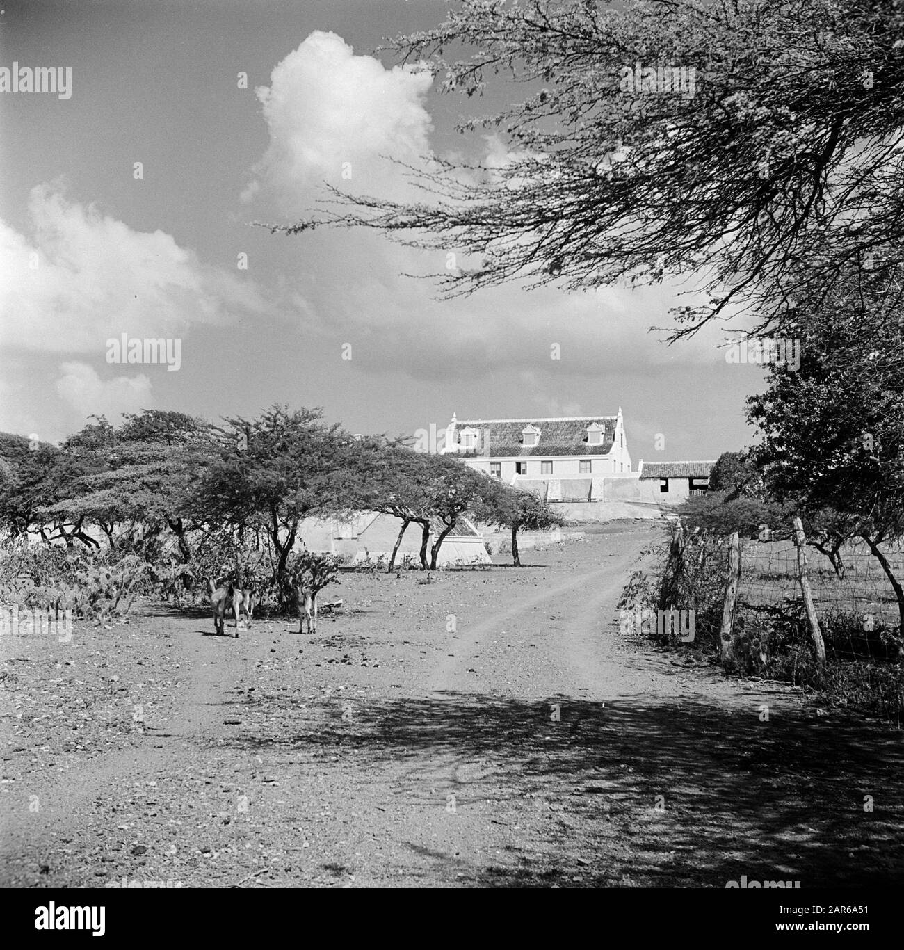 Journey to Suriname and the Netherlands Antilles  Landhuis Savonet on Curaçao Date: 1947 Location: Curaçao Keywords: country houses Stock Photo