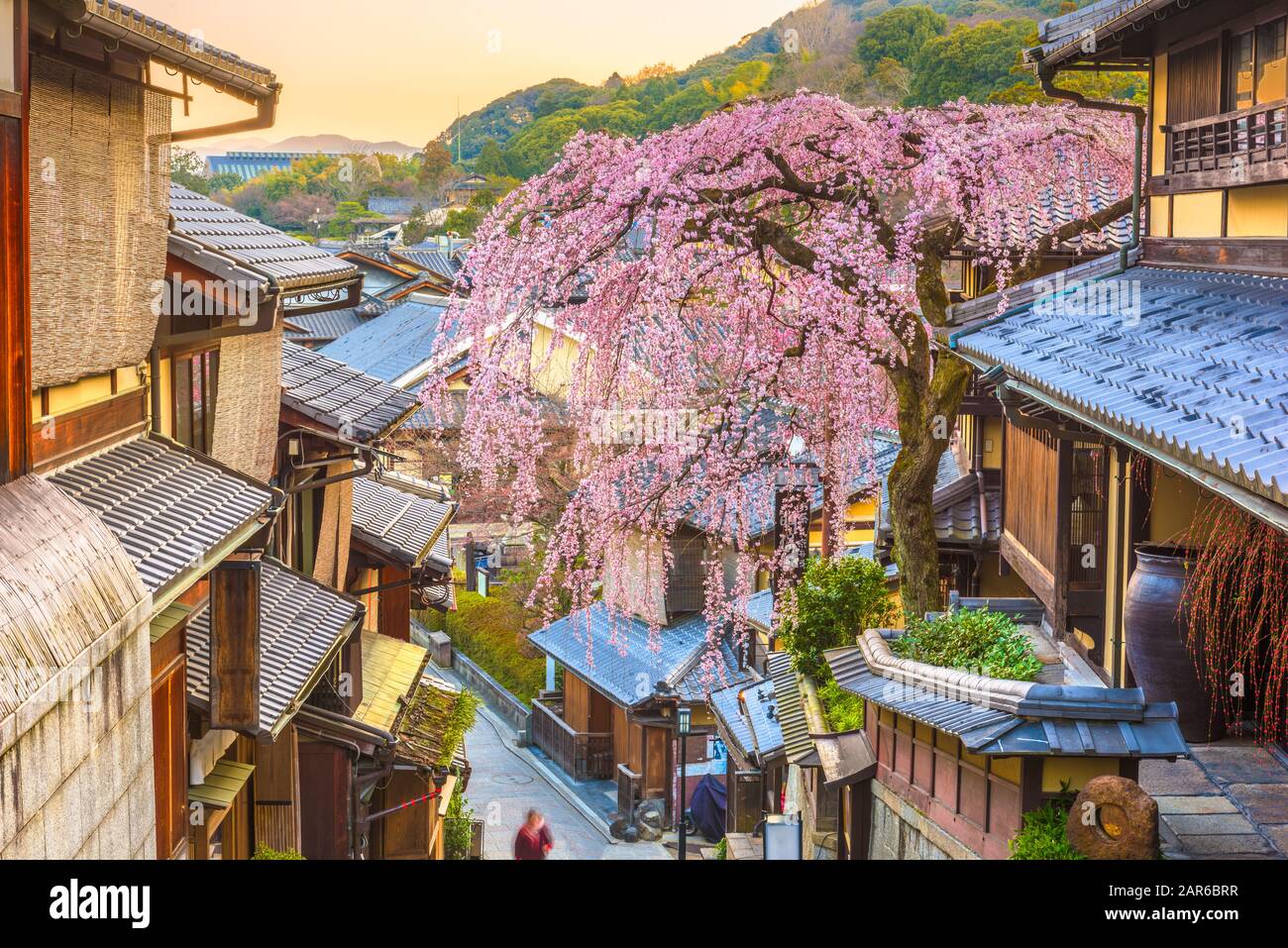 Kyoto japan higashiyama district hanami hi res stock photography and